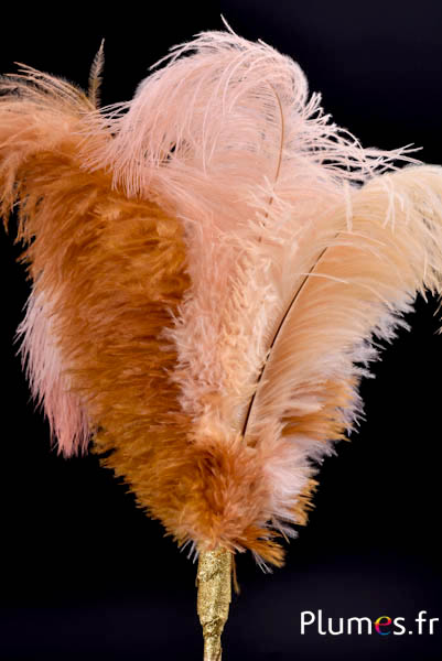 Plumet autruche - 12 plumes - crème-miel champagne-saumon rosé-cognac